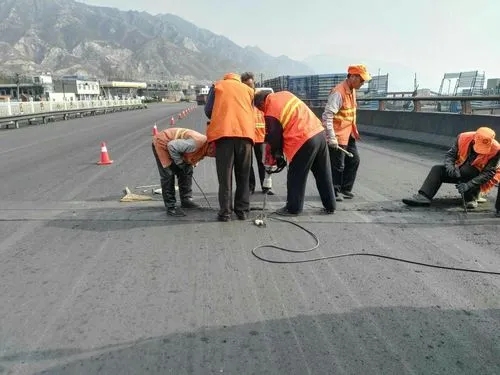 巨野道路桥梁病害治理